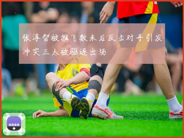 张淳智被推飞数米后反击对手引发冲突三人被驱逐出场