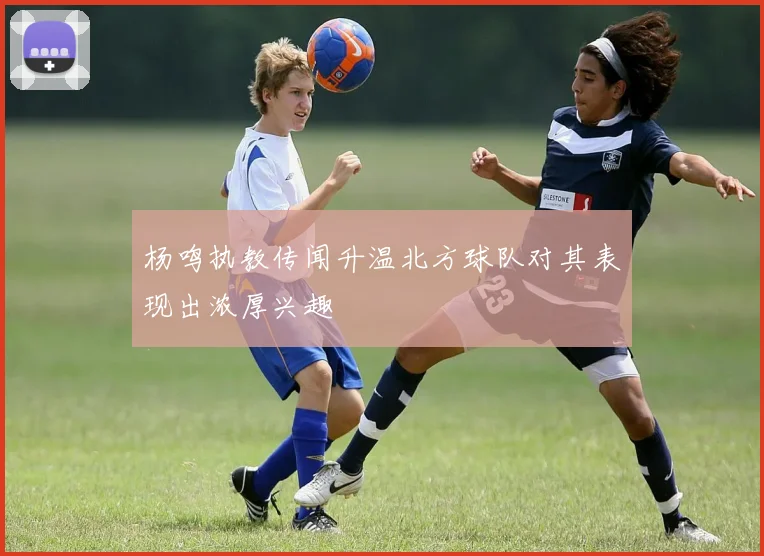 杨鸣执教传闻升温北方球队对其表现出浓厚兴趣