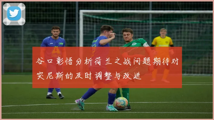 谷口彰悟分析荷兰之战问题期待对突尼斯的及时调整与改进